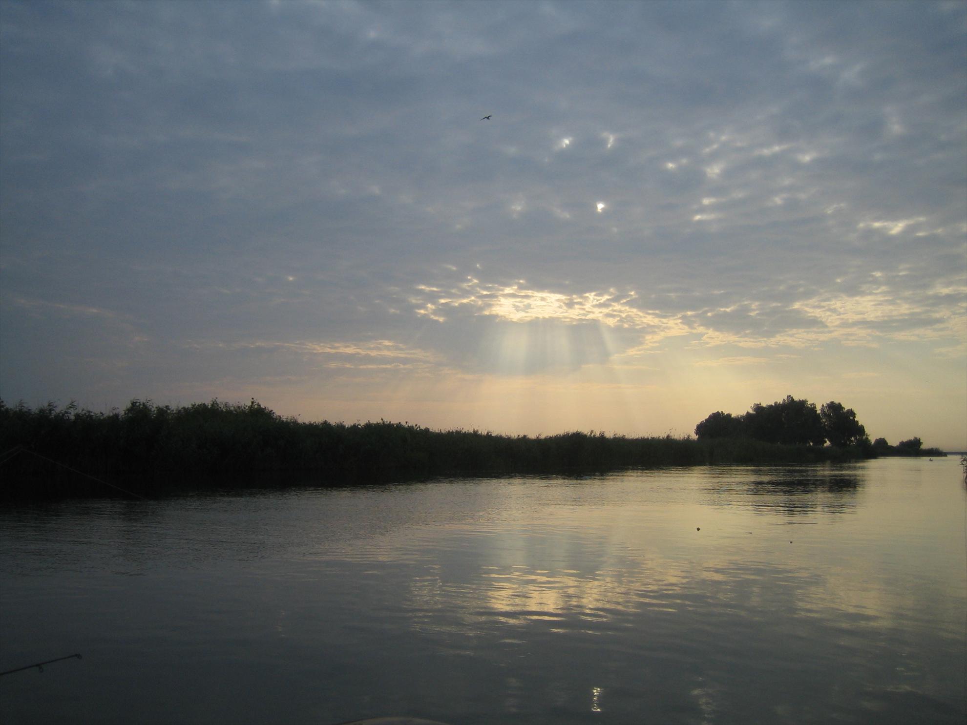 DELTA 2007-2012 - ROSU